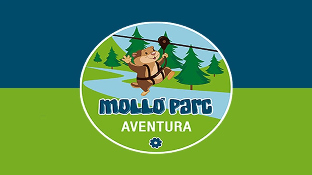 Llanars, En Vall De Camprodon Vistas Montana De Frente, Ascensor, Orientacion Sur, Chimenea, Wifi, Mollo Park, Vallter, Hipica, Golf Apartamento *