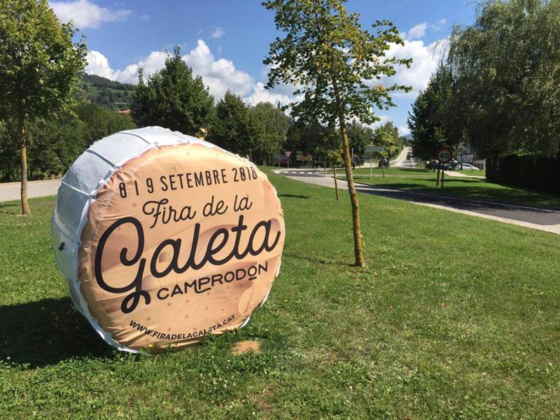 Llanars, En Vall De Camprodon Vistas Montana De Frente, Ascensor, Orientacion Sur, Chimenea, Wifi, Mollo Park, Vallter, Hipica, Golf Llanars